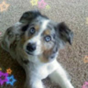 Meet your Posher, Roger